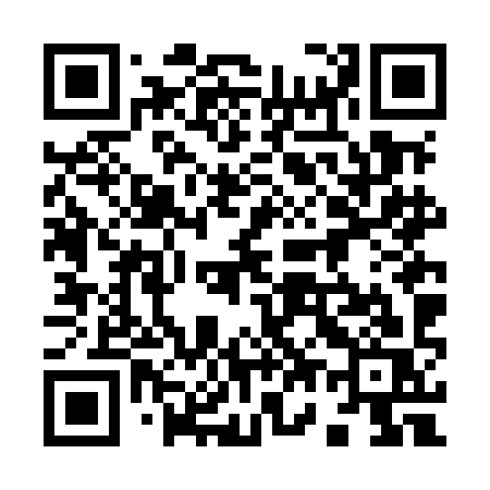 QR code for 976MIS