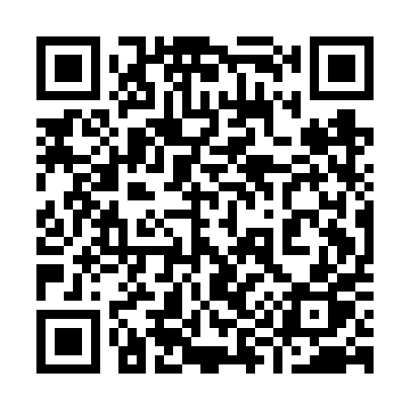 QR code for 991FPP