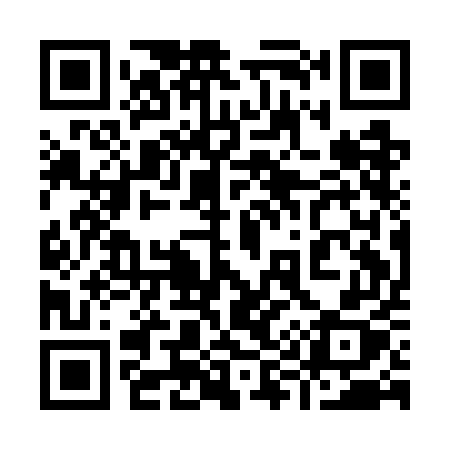 QR code for 991GEX