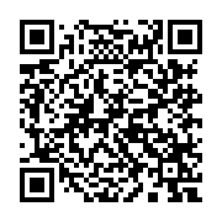 QR code for 991HLO
