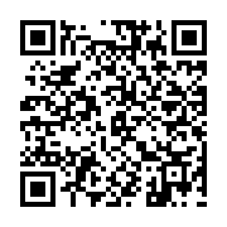 QR code for 991ICS