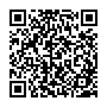 QR code for 991MLO