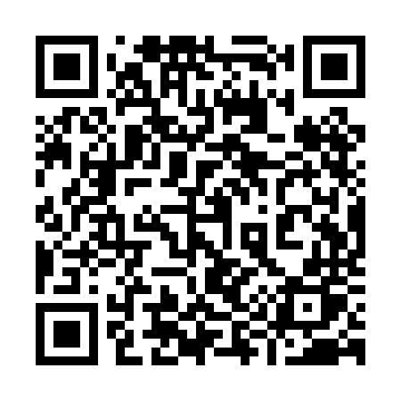 QR code for 991PNP