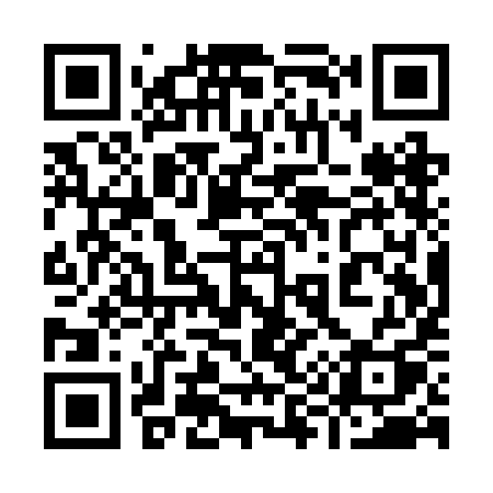 QR code for 991RIQ