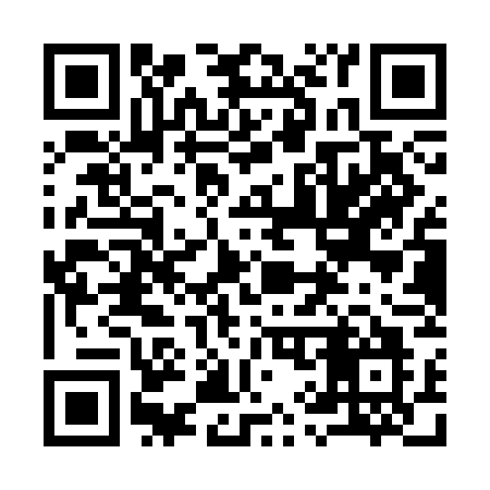 QR code for 991SGO
