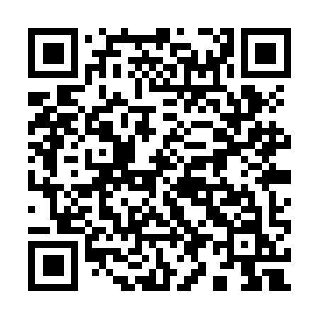 QR code for 991ZIN