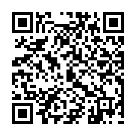 QR code for 993CDT