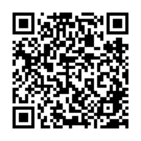 QR code for 993FLG
