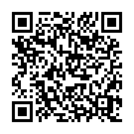 QR code for 993INV