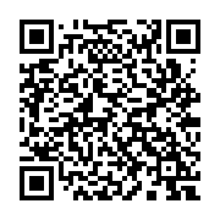 QR code for 993SPM