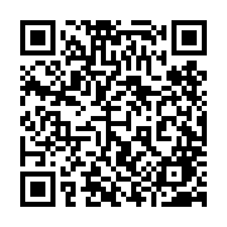 QR code for 994DMG