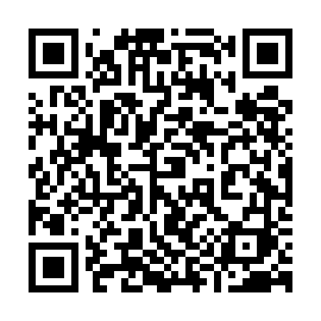 QR code for 994EFI