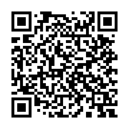 QR code for 995DWS