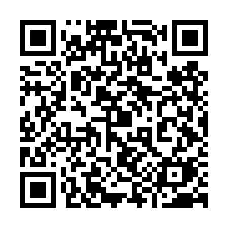 QR code for 996DSM