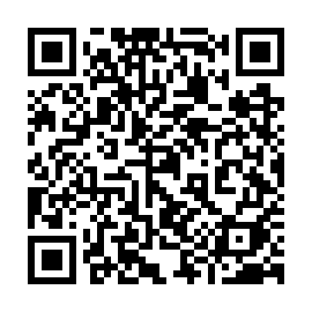 QR code for 996GUI