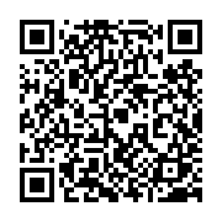 QR code for 996TYS