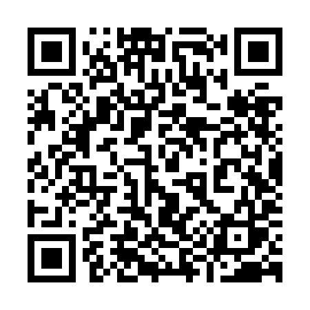 QR code for 996ZIS