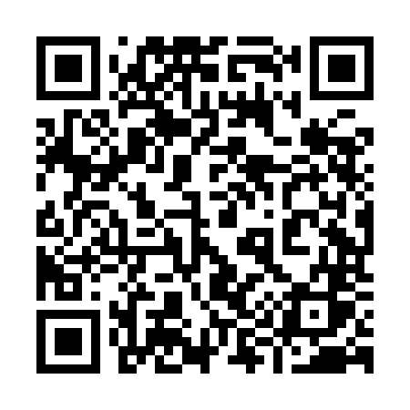 QR code for 998INS