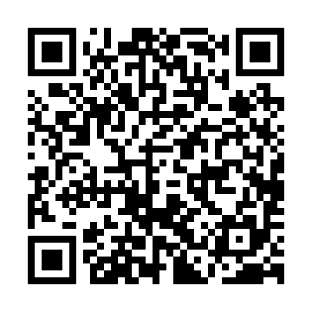 QR code for ACP295