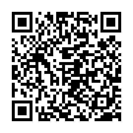 QR code for ADL491