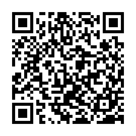 QR code for ALU307