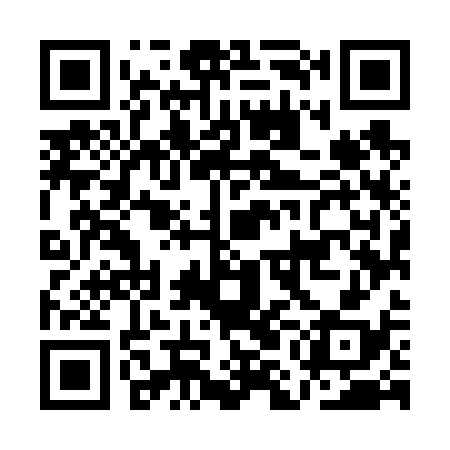 QR code for AMM638