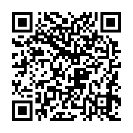 QR code for ANL379