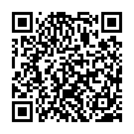 QR code for AOX737