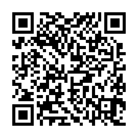 QR code for APV281