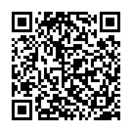 QR code for APV737