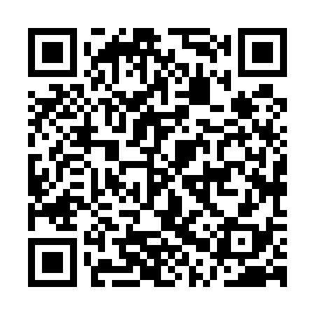 QR code for APX538
