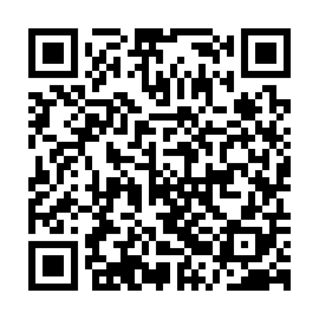 QR code for ARK308