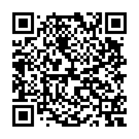 QR code for ASI410