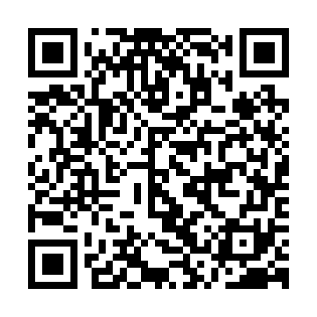 QR code for ASS271