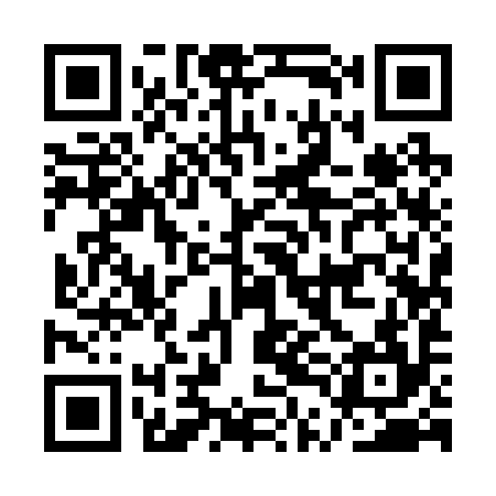 QR code for ATI294