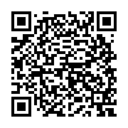 QR code for AUR391