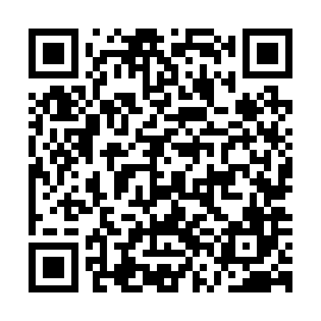 QR code for AVN286