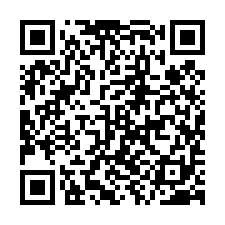 QR code for AYI491