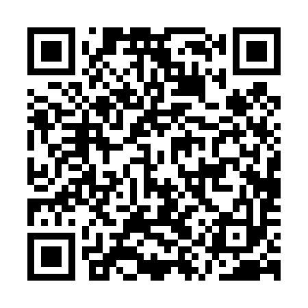 QR code for AYP493