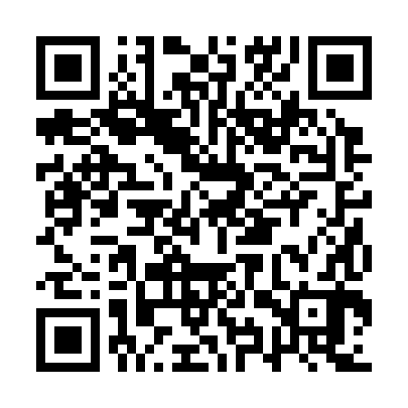 QR code for AYR382
