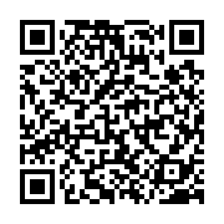 QR code for AYU738