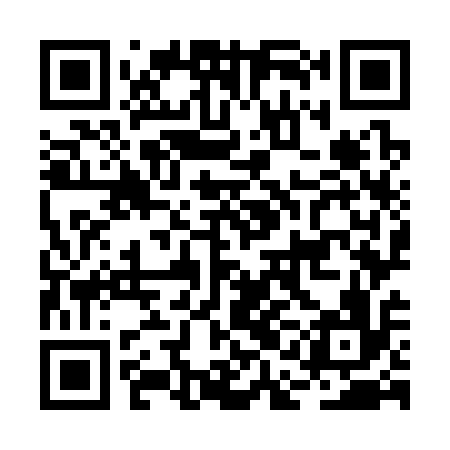 QR code for BAO316