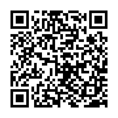 QR code for BHL383