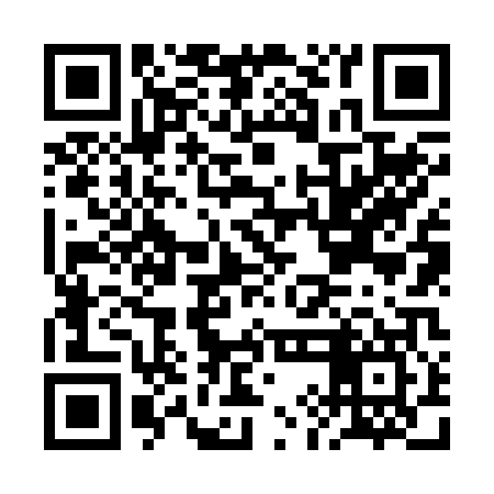 QR code for BIN207