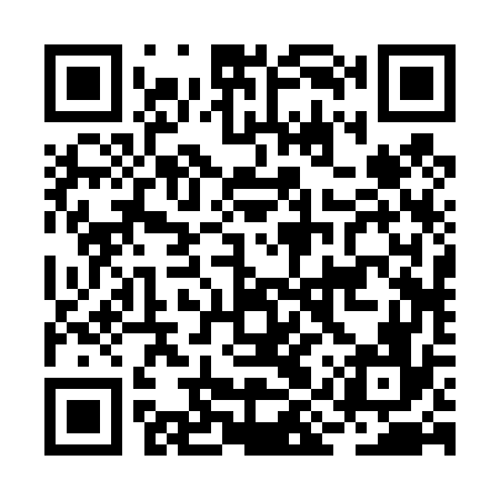 QR code for BIR476