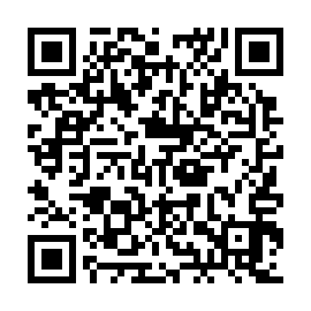 QR code for BIT313