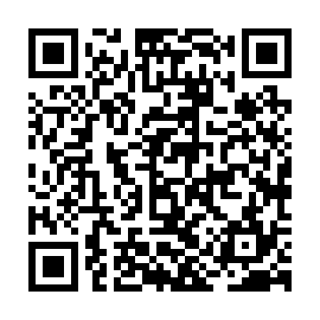 QR code for BIX234