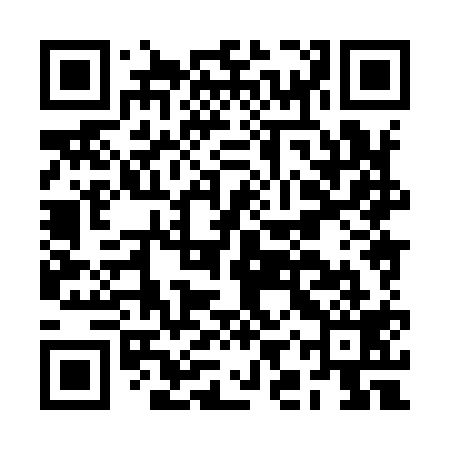 QR code for BIX919