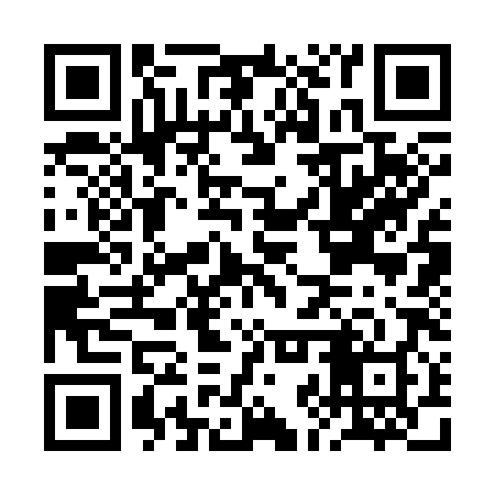 QR code for BJS388