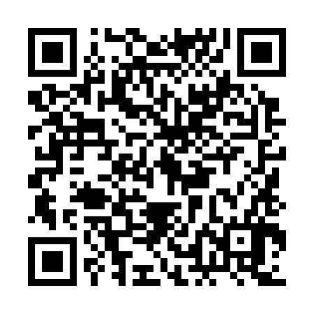 QR code for BLL386